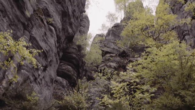 Henrik - Was bedeutet für mich Europa? / Что значит для меня Европа? смотреть онлайн