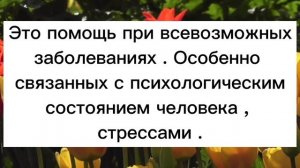 ЧЕРНАЯ НИТЬ НА ЗАПЯСТЬЕ/ ОБЕРЕГ /ДЛЯ ЧЕГО/ #чернаянитьназапястье#обереги #нитьназапястье