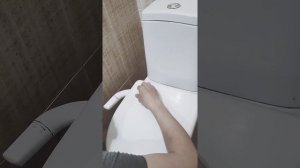 Биде для маленького туалета. Удобно, функционально и недорого