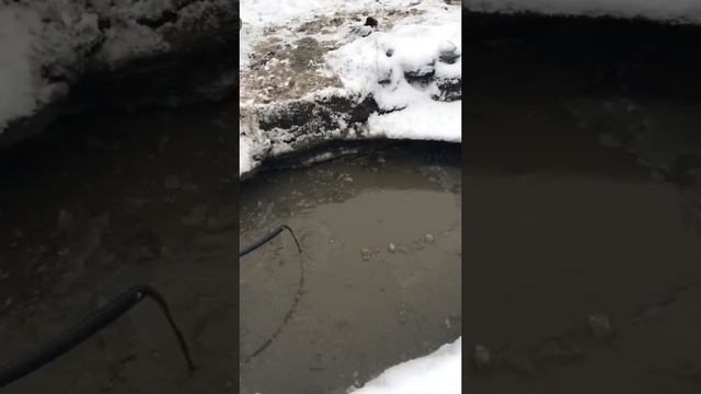 Прокачка Скважины до чистой воды