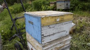 Один из способов содержания среднерусской пчелы - расширение гнезд под низ.