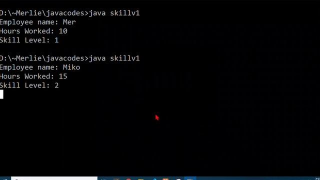 Computer Programming 1 - Java switch..case Activity Sample Output смотреть онлайн