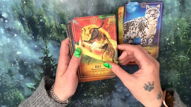 The Ark Tarot and oracle deck review смотреть онлайн