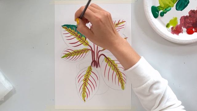 Рисуем тропический цветок маранта || Как нарисовать цветок смотреть онлайн