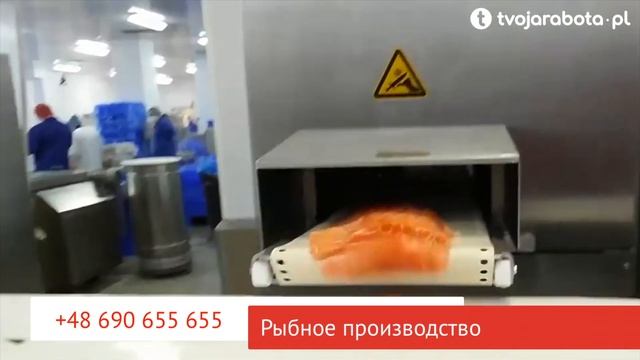 Работа в Польше: рыбный завод. Видео с производства. #работавПольше #твояработа #рыбныйзавод #завод