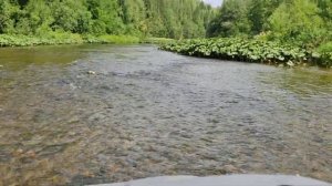 аэролодка Манёвр