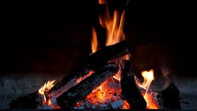 Палатку с охотниками окружили ВОЛКИ. Но никто не решался выйти смотреть онлайн