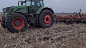 Посев зимующего горох , сорт " Баллтрап" . No - till 15.11.2021