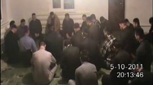 халид шали назран