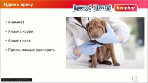 Копрофагия