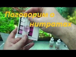 О концентрации нитратов в аквариуме. (Архив от 13.03.2022)