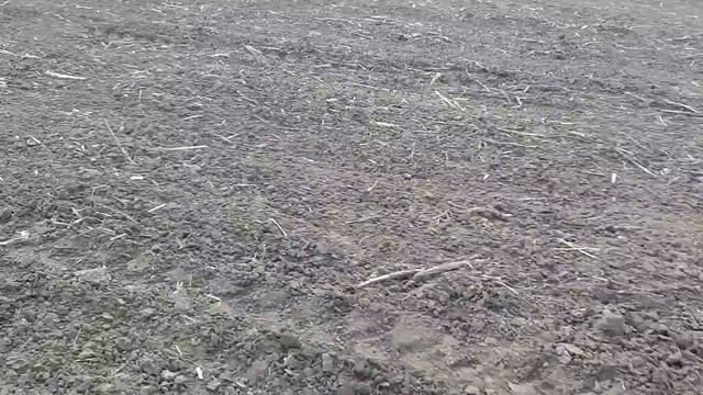 Внесение удобрений (Нитроамофос)под посев подсолнуха сеялкой СЗ-3,6 смотреть онлайн