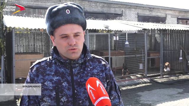 Ученики гимназии 