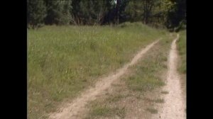 Назад в ГСВГ_Эберсвальде_часть 3