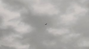 Грузовой беспилотник (дронсамолет). Запуск самолета. Cargo drone UAV (drone plane). Launch aircraft