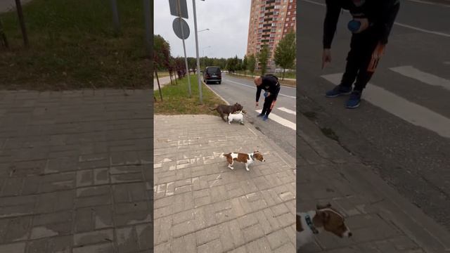 Обозначение и Закрепление «Границы - Дорога» / Часть 8