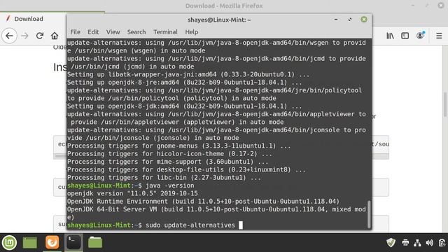 Installing Apache Cassandra on Linux Mint