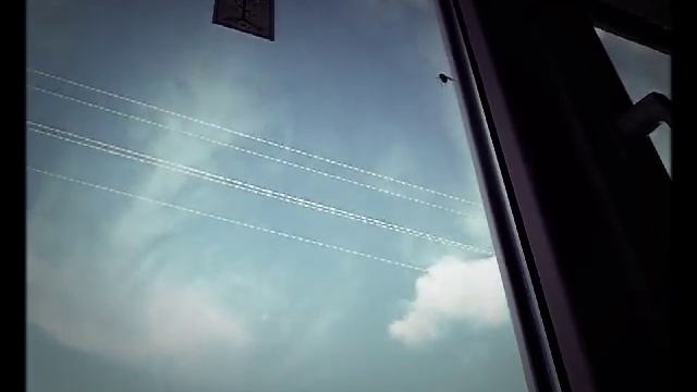 Смешная муха смотреть онлайн