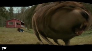 「 1 ЧАС 」БЕЗУМНО МОЖНО БЫТЬ ПЕРВЫМ - МУДРОСТЬ ВОЛКА