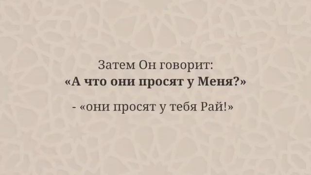 Не будет опечален присоединившийся к ним - لا يشقي جليسهم смотреть онлайн