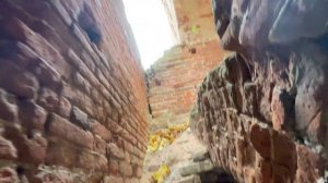 Заброшенная церковь в селе Павловском Липецкой области