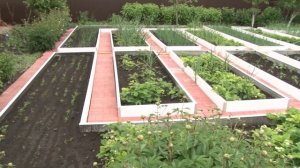 Теплые грядки своими руками