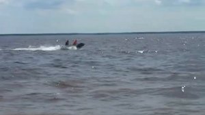 РИБ Winboat-360 на Рыбинке