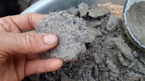 Макуха в корме перепелов//Шрот подсолнечника//Состав корма для перепелов