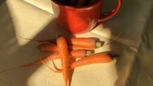 МОЛОДАЯ МОРКОВЬ!!! ПОЛЕЗНО И ВКУСНО!!