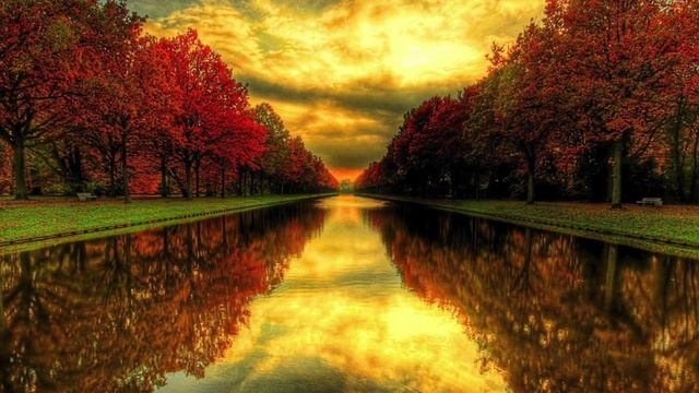 Bach Violin Partita No.2 Chaconne, Yu Jin, Viola смотреть онлайн