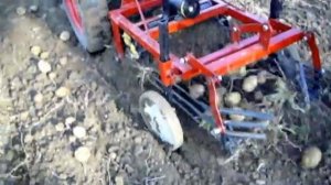 DSCI0054 видео 2 мотоблок мтз 12 беларусь грохотная картофелекопалка .