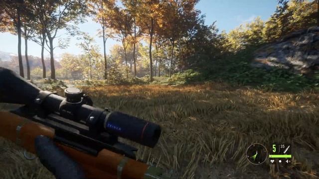 Еще один Бриллиант Гусь theHunter Call of the Wild™ ( Канадская Казарка ) смотреть онлайн
