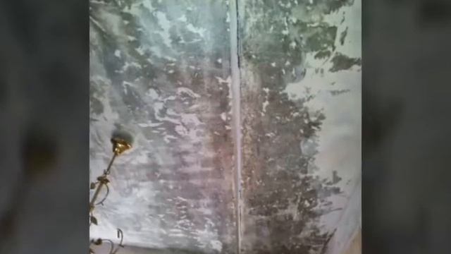 Косметический ремонт кухни Ленинский пр. смотреть онлайн