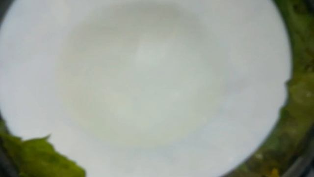 Как заготовить виноградные листья на зиму смотреть онлайн