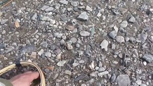 Сплав по Енисею и р. Порожной