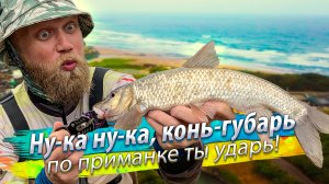 Микро-раттлин? Мормышка? ПОСТАВИЛ приманку побольше и КАК ВЛУПИЛО! Рыбалка в ручье. Спиннинг.