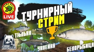 Турнирный Стрим - РР4 (Стрим - Русская рыбалка 4)