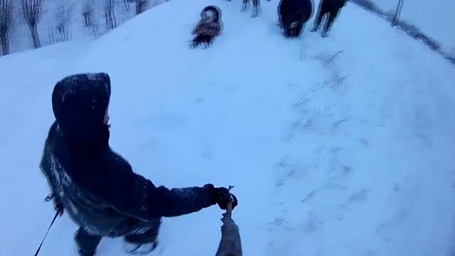 Санки ватрушки,банька,шашлыки,выходные с друзьями смотреть онлайн