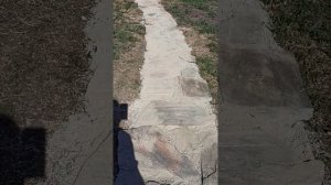 Дорожка из плитняка