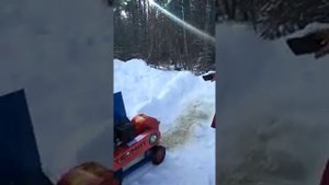 Видео-отзыв от клиента СНТ "Сапфир" "Термит" Щ350 (бенз) 15 л.с