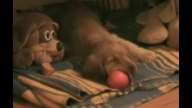 20061116 Лита и Щенок смотреть онлайн