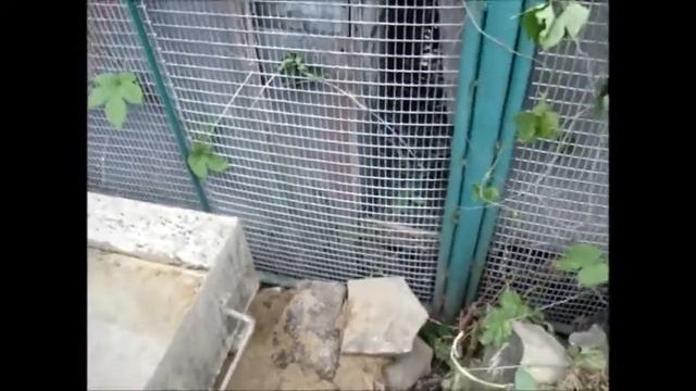 Печь для консервирования смотреть онлайн