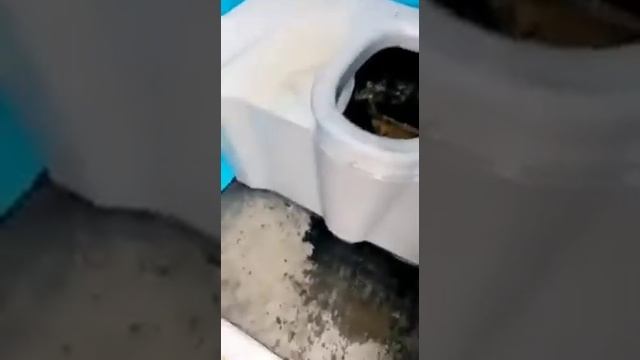 Как прёт соль, ск. смотреть онлайн