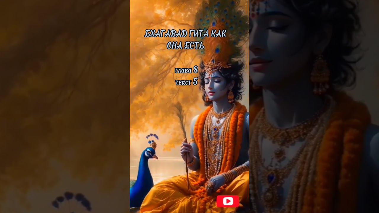 Бхагавад Гита как она есть глава 8, текст 5 смотреть онлайн