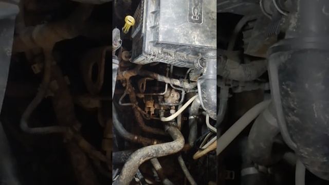 Ремонт двигателя форд транзит 2.2 дизель смотреть онлайн