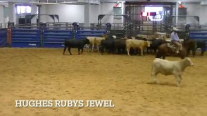 9-26-21  Am SW Tx CHA - Belton, TX - Michael Crumpler, Jr - HUGHES RUBYS JEWEL - Open - 73