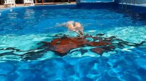 Акватория Лета - бассейн