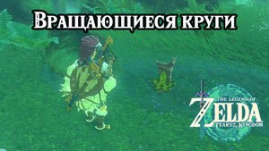 Вращающиеся круги. The Legend of Zelda Tears of the Kingdom. Whirly Swirly Things. Nintendo Switch