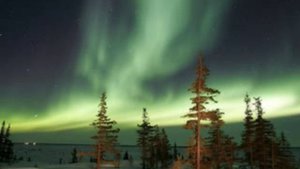 Родной #ЯМАЛ