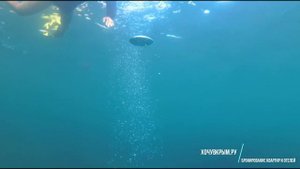 Коса Беляус Крым